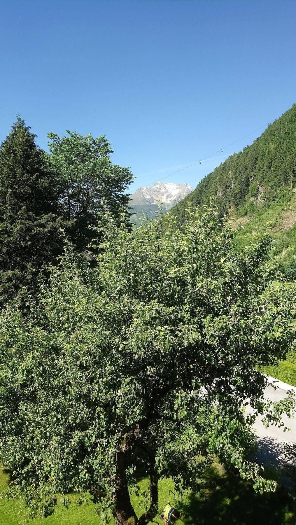 Rosenhof 3*